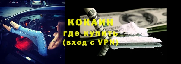 шишки Покров
