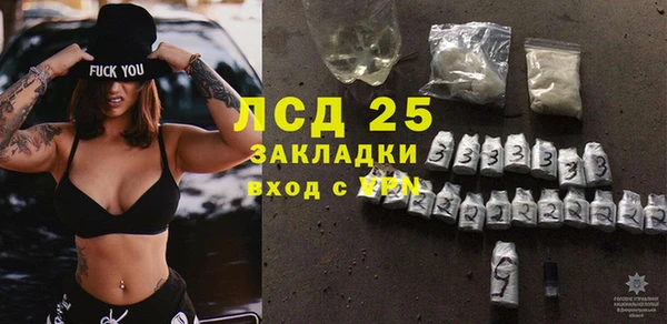 стаф Арсеньев