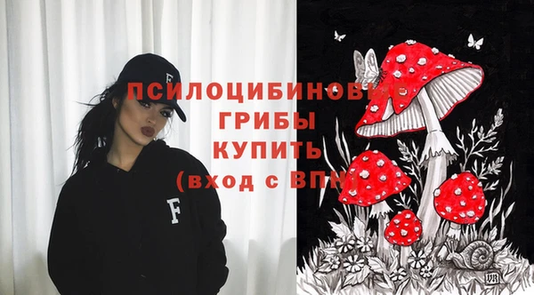 стаф Арсеньев