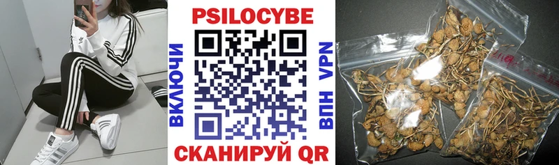 Галлюциногенные грибы Psilocybine cubensis  купить  сайты  Байкальск 